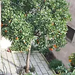 Apartment Wellnessinnrome Shortlet *